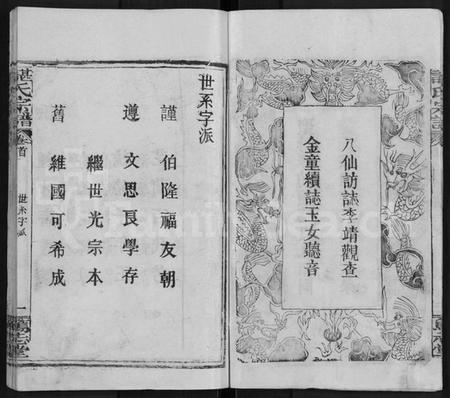 湖北谌氏族谱-谌氏宗谱 [9卷,首1卷](别名：谌氏族谱).pdf电子版插图4