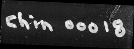 中国成氏族谱-上谷堂中华成氏源流宗史(别名：中华成氏源流宗史).pdf电子版