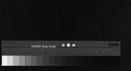 湖北程氏族谱-程氏宗谱 [10卷,首2卷](别名：程氏义谱、Cheng shi zong pu).pdf电子版