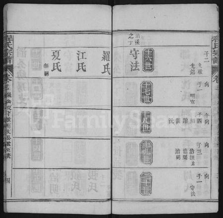 湖北程氏族谱-花山程氏宗谱 [残卷10卷](别名：花山程氏宗谱、Hua Shan Cheng Shi Zong Pu、程氏宗谱、程氏宗谱).pdf电子版插图4