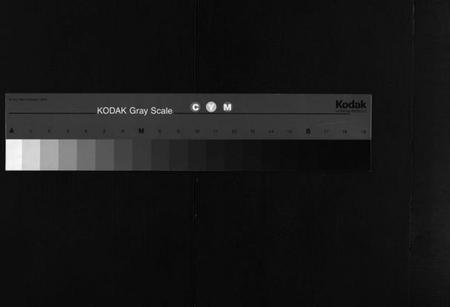 湖北戴氏族谱-戴氏支谱 [9卷,首2卷](别名：Dai Shi Zhi Pu).pdf电子版