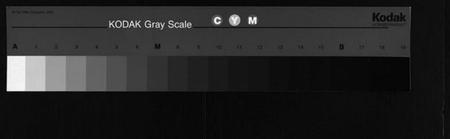 湖北余氏族谱-余氏宗谱 [12卷](别名：余氏族谱、Yu Shi Zong Pu).pdf电子版