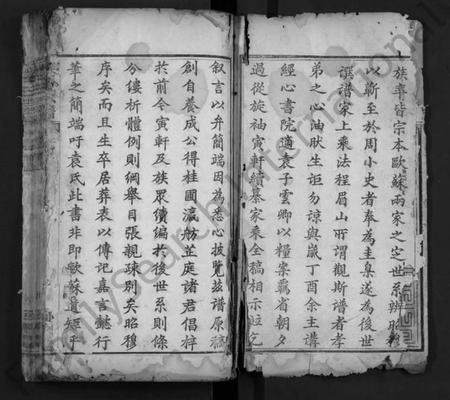 湖北袁氏族谱-袁氏宗谱 [12卷,首2卷](别名：Yuan Shi Zong Pu).pdf电子版插图2