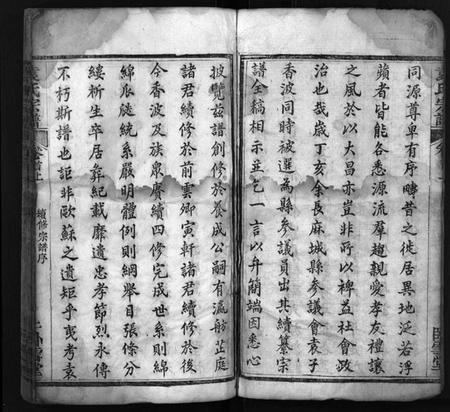 湖北袁氏族谱-袁氏宗谱 [16卷,首2卷](别名：Yuan Shi Zong Pu).pdf电子版插图2