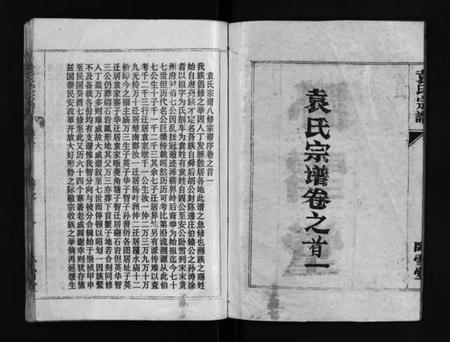湖北袁氏族谱-袁氏宗谱[首3卷,世系4卷,世传17卷](别名：Yuan Shi Zong Pu).pdf电子版插图2