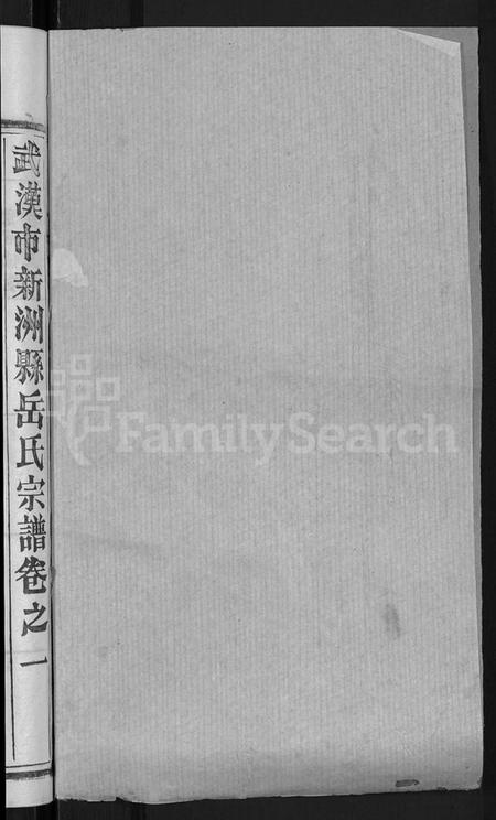 湖北岳氏族谱-岳氏宗谱 [3卷,首1卷](别名：武汉市新洲县岳氏宗谱).pdf电子版插图2