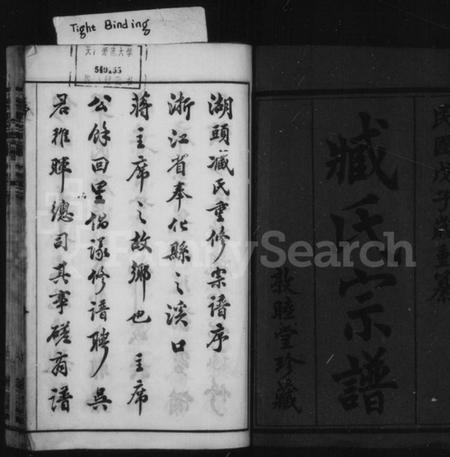 江苏臧氏族谱-臧氏宗谱 [8卷](别名：金沙湖头臧氏宗谱).pdf电子版插图2