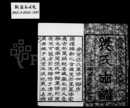 江苏张氏族谱-南望张氏宗谱 [18卷,附1卷](别名：南望张氏世谱).pdf电子版插图2