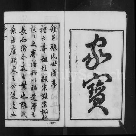 江苏张氏族谱-张氏宗谱(别名：张氏家乘).pdf电子版插图2