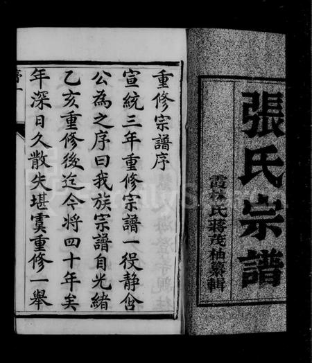 江苏张氏族谱-润州开沙张氏族谱 [12卷](别名：张氏族谱).pdf电子版插图4