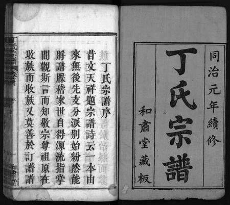 湖北丁氏族谱-丁氏宗谱 [19卷,首1卷](别名：Ding Shi Zong Pu、丁氏分续宗谱、丁氏续修宗谱).pdf电子版插图2