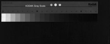 湖北丁氏族谱-丁氏宗谱 [24卷,首2卷](别名：Ding Shi Zong Pu).pdf电子版