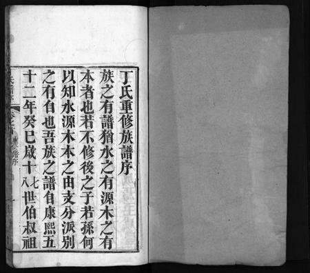 湖北丁氏族谱-丁氏族谱 [7卷,首3卷](别名：Ding Shi Zu Pu、丁氏谱序).pdf电子版插图2