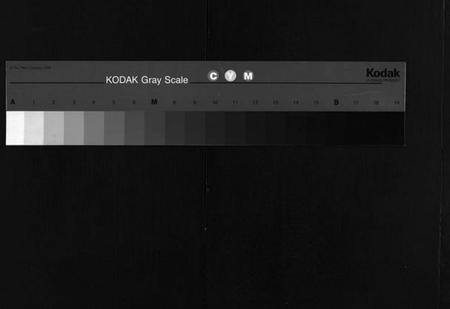 湖北丁氏族谱-丁氏族谱 [7卷,首3卷](别名：Ding Shi Zu Pu).pdf电子版