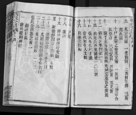 湖北张氏族谱-张氏全谱 [30卷](别名：Zhang Shi Zong Pu).pdf电子版插图2