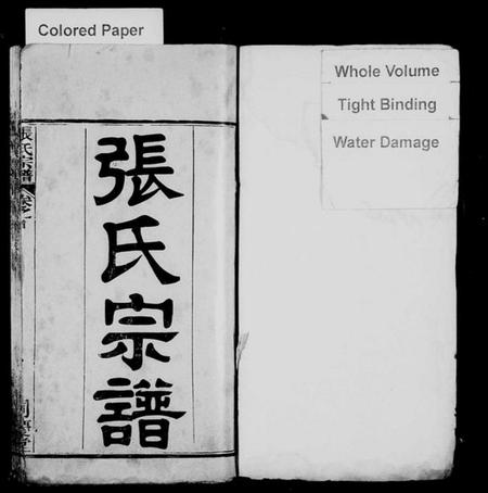 湖北张氏族谱-张氏宗谱 [12卷,首1卷](别名：黄岗张氏宗谱).pdf电子版插图1