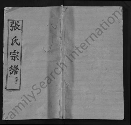 湖北张氏族谱-张氏宗谱 [13卷,首1卷](别名：Zhang Shi Zong Pu).pdf电子版