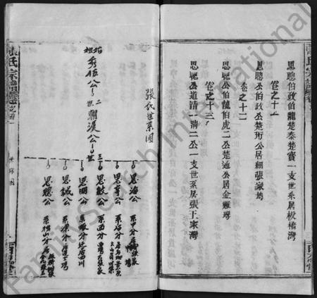 湖北张氏族谱-张氏宗谱 [13卷,首1卷](别名：Zhang Shi Zong Pu).pdf电子版插图4