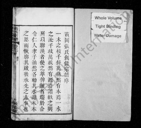 湖北张氏族谱-张氏宗谱 [26卷,首1卷](别名：黄冈张氏宗谱).pdf电子版插图1