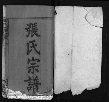 湖北张氏族谱-张氏宗谱 [7卷,含卷首,下1卷](别名：Zhang Shi Zong Pu、张氏宗谱).pdf电子版插图1