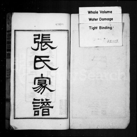 湖北张氏族谱-张氏家谱 [14卷,首1卷](别名：张氏三修家谱).pdf电子版插图1