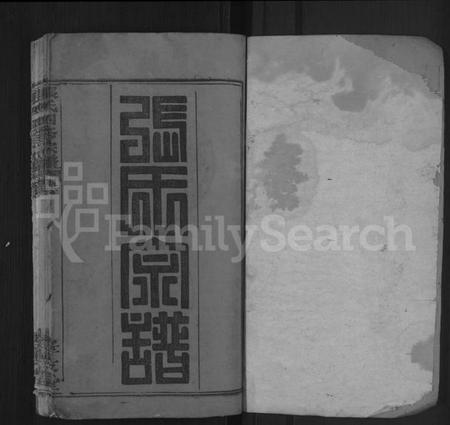 湖北张氏族谱-张氏四修宗谱 [21卷,首3卷](别名：张氏宗谱).pdf电子版插图1