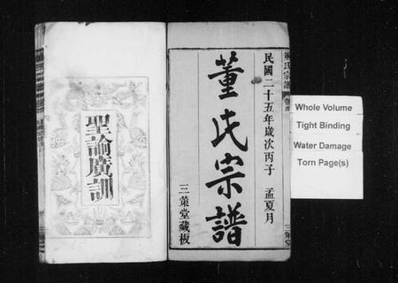 湖北董氏族谱-董氏宗諎 [残卷](别名：董氏四次续修宗谱).pdf电子版插图2