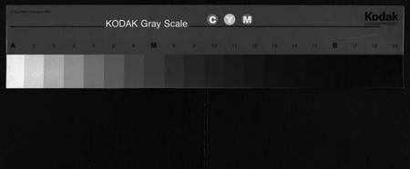 湖北董氏族谱-董氏宗谱 [11卷,首1卷](别名：Dong Shi Zong Pu).pdf电子版
