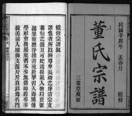 湖北董氏族谱-董氏宗谱 [11卷,首1卷](别名：Dong Shi Zong Pu).pdf电子版插图2