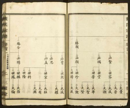 湖北董氏族谱-董氏宗谱 [总卷数不详](别名：Dong Shi Zong Pu).pdf电子版插图1