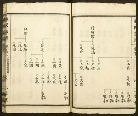 湖北董氏族谱-董氏宗谱 [总卷数不详](别名：Dong Shi Zong Pu).pdf电子版插图4