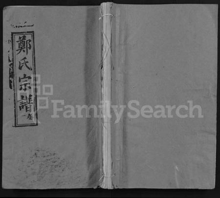 湖北郑氏族谱-郑氏宗谱 [16卷,含首2卷](别名：Zheng Shi Zong Pu).pdf电子版