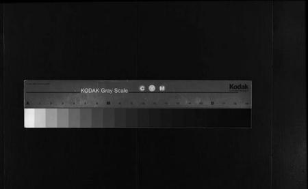 湖北郑氏族谱-郑氏宗谱 [5卷,首1卷,另按支分卷](别名：Zheng Shi Zong Pu、郑氏宗谱).pdf电子版