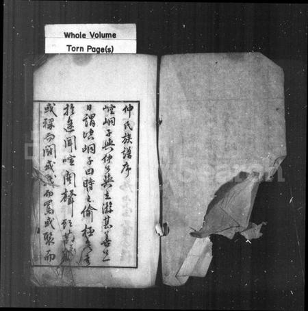 江苏仲氏族谱-仲氏家乘(别名:仲氏族谱).pdf电子版插图 江苏仲氏族谱-仲氏家乘(别名:仲氏族谱).pdf电子版插图