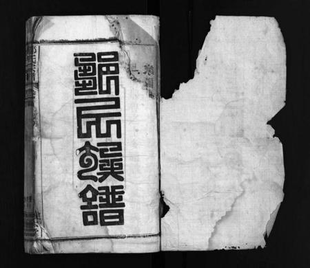 湖北邹氏族谱-邹氏族谱 [18卷,首4卷](别名：Zou Shi Zu Pu、邹氏宗谱、邹氏族谱).pdf电子版插图1