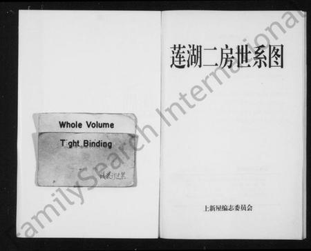 浙江施氏族谱-[施氏]莲湖二房世系图.pdf电子版插图2