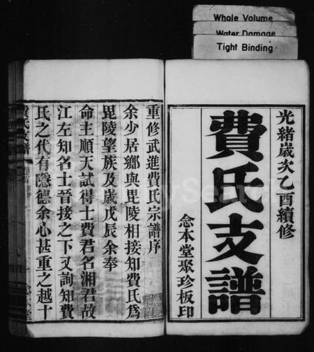 江苏费氏族谱-费氏支谱 [10卷,首末各1卷](别名：琅琊费氏武进支谱).pdf电子版插图1