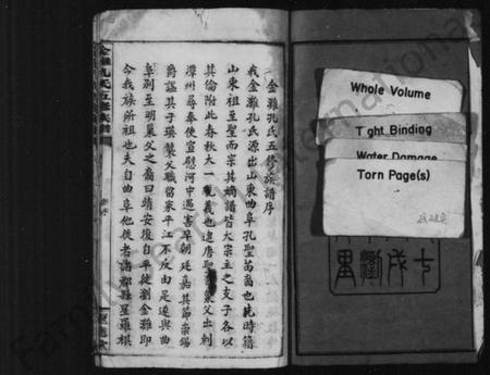 湖南孔氏族谱-金滩孔氏五修族谱 [残卷].pdf电子版插图3