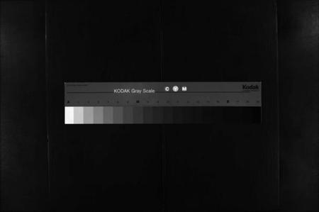 湖北冯氏族谱-冯氏宗谱 [分支分卷](别名：Feng Shi Zong Pu、冯氏九修续修宗谱、冯氏宗谱).pdf电子版