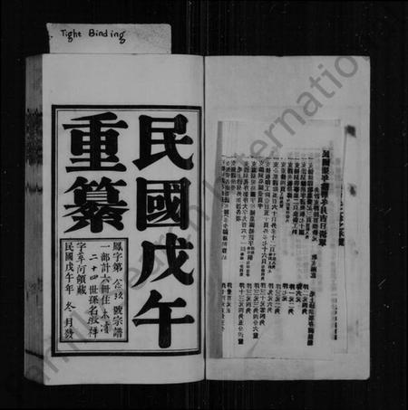 江苏凤氏族谱-洞庭凤氏宗谱(别名：凤氏宗谱).pdf电子版插图2