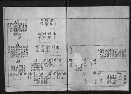 浙江蔡氏族谱-东阳鹿峰蔡氏宗谱[不分卷].pdf电子版插图3