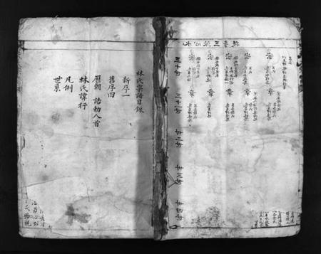 浙江林氏族谱-林氏大宗谱 [不分卷].pdf电子版插图1