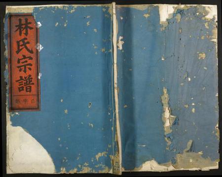 浙江林氏族谱-林氏宗谱.pdf电子版