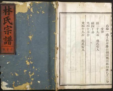 浙江林氏族谱-林氏宗谱.pdf电子版