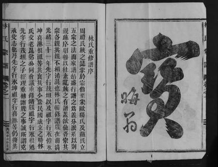 浙江林氏族谱-林氏宗谱 [2卷].pdf电子版插图2