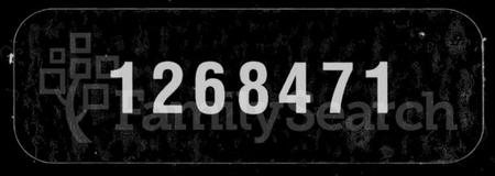 湖北高氏族谱-高氏宗谱 [42卷,首6卷](别名：楚黄高氏宗谱).pdf电子版
