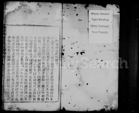 浙江金氏族谱-梅溪西岸金氏宗谱 [残卷].pdf电子版插图2