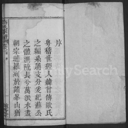 湖北高氏族谱-高氏家谱 [12卷,首末各1卷](别名：高氏家乘).pdf电子版插图1