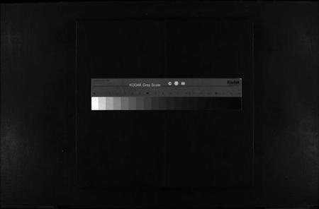 浙江杨氏族谱-杨氏宗谱 [不分卷].pdf电子版