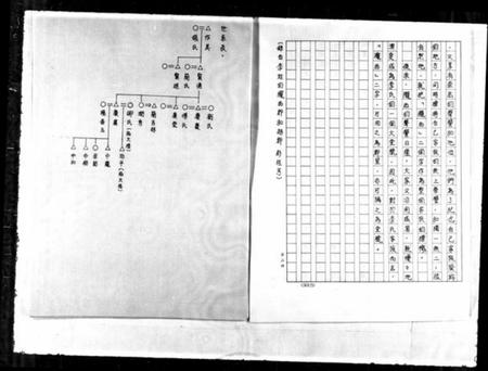 湖南李氏族谱-[李氏家谱].pdf电子版插图5